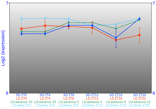 Expression graph
