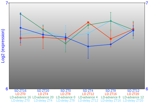 Expression graph