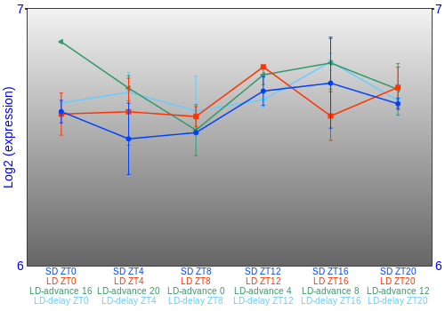 Expression graph