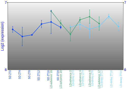 Expression graph