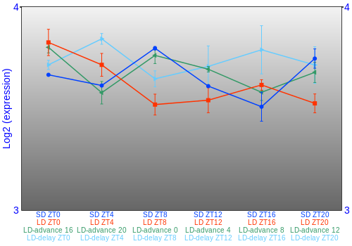 Expression graph