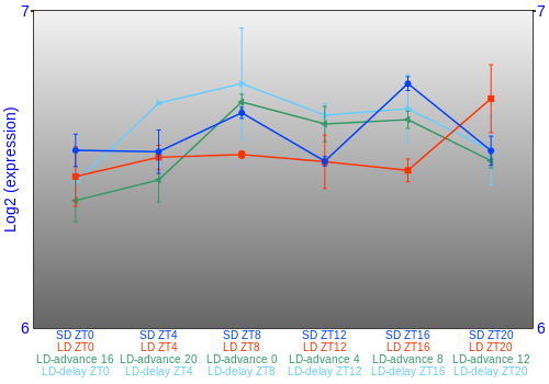 Expression graph