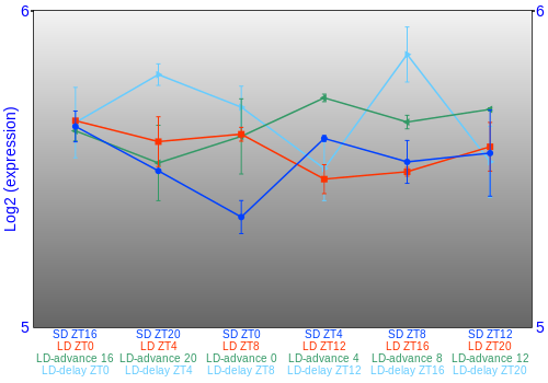 Expression graph