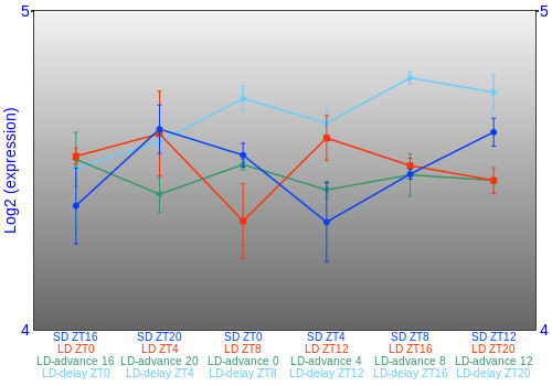 Expression graph