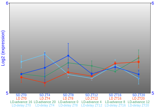 Expression graph
