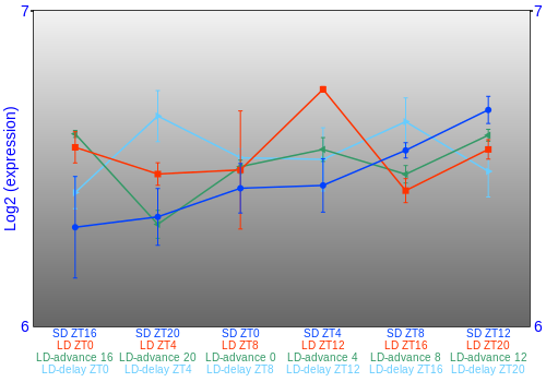 Expression graph