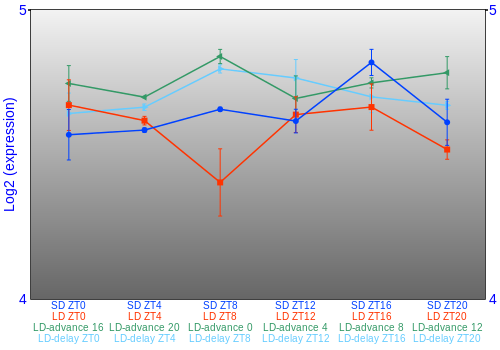 Expression graph