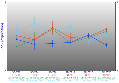 Expression graph