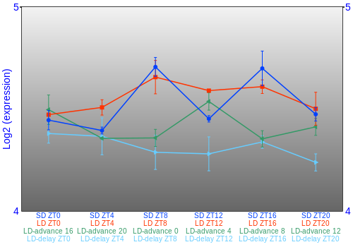 Expression graph