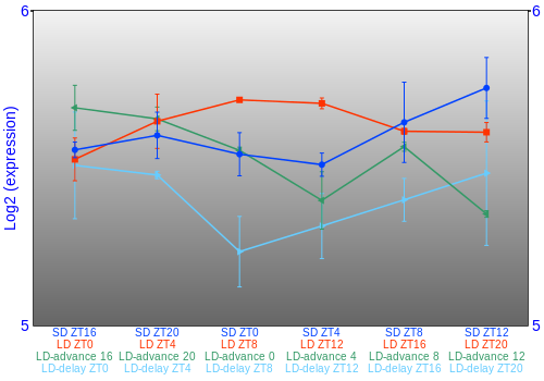 Expression graph