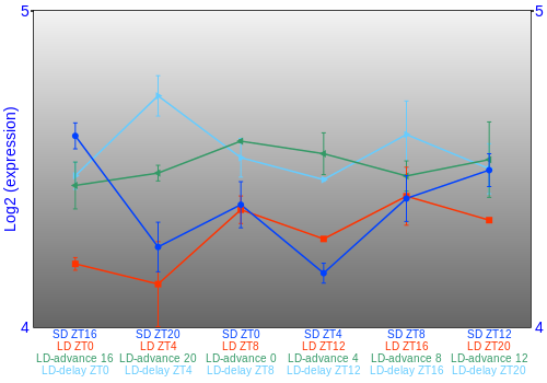 Expression graph