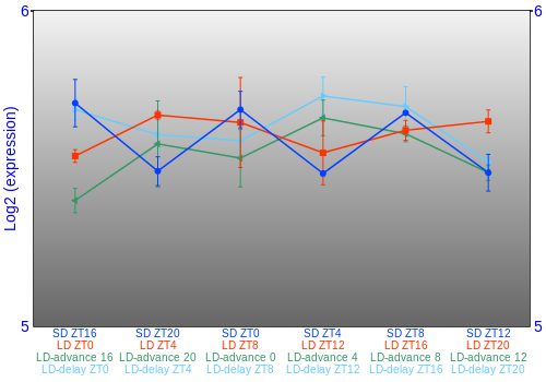 Expression graph