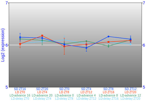 Expression graph