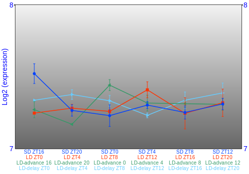 Expression graph