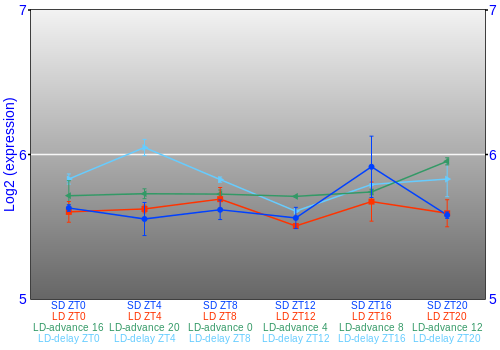 Expression graph