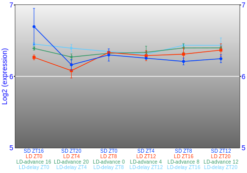 Expression graph