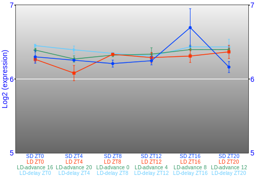 Expression graph