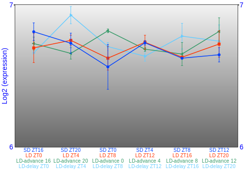 Expression graph