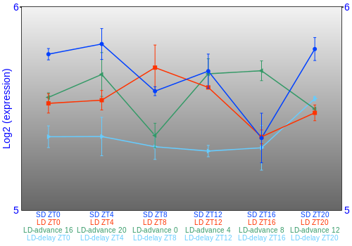 Expression graph