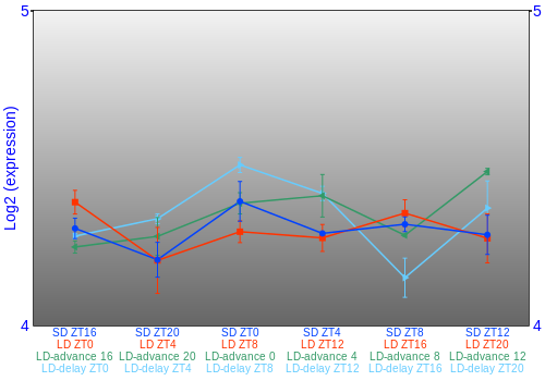 Expression graph