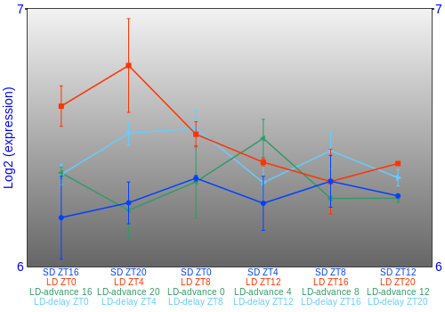 Expression graph