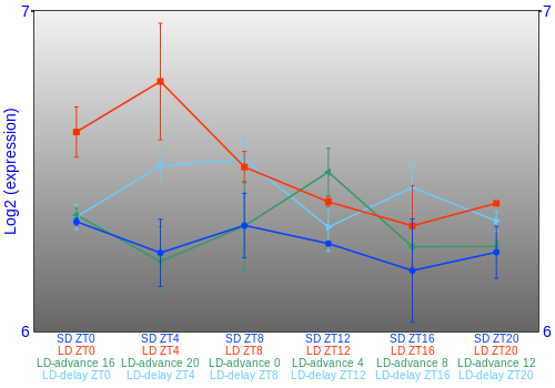 Expression graph