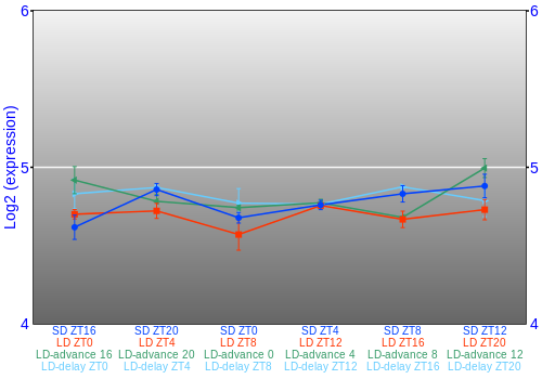 Expression graph