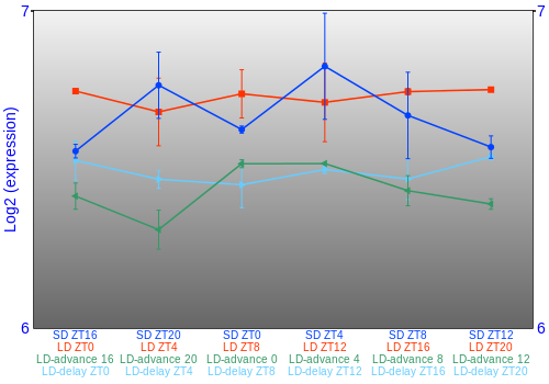 Expression graph