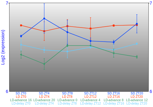 Expression graph