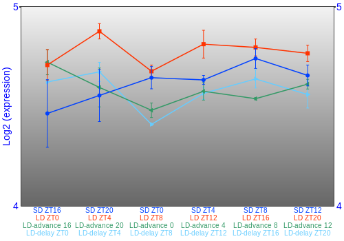 Expression graph