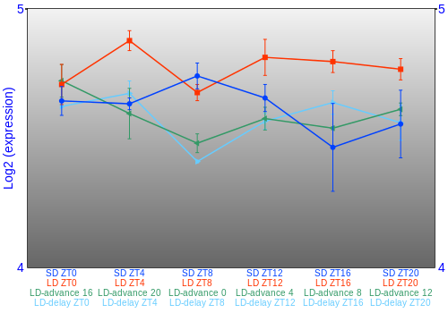 Expression graph