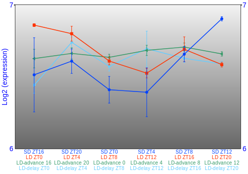 Expression graph