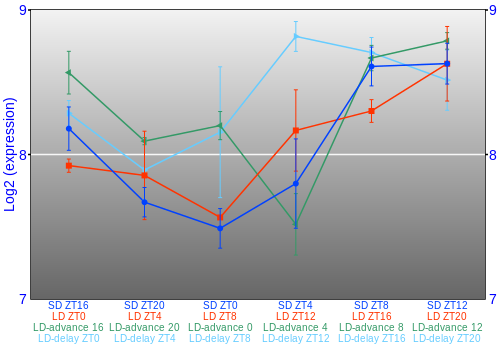 Expression graph