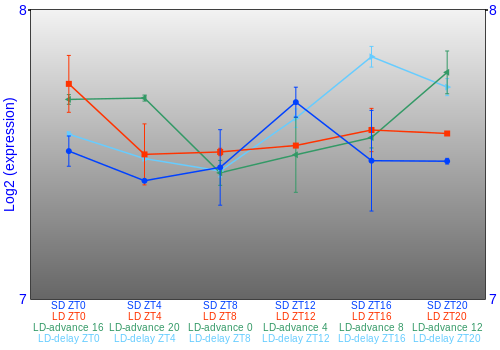 Expression graph