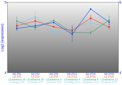 Expression graph