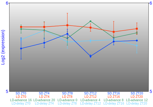Expression graph