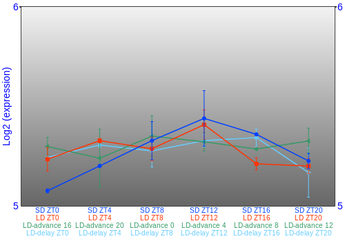 Expression graph