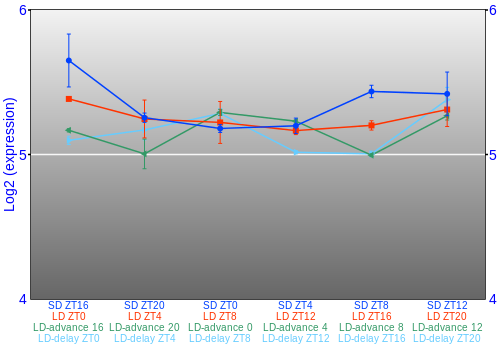 Expression graph