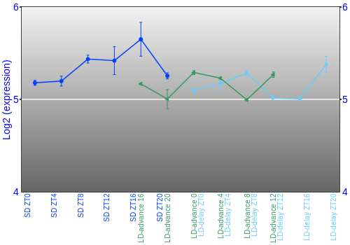 Expression graph