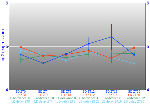 Expression graph