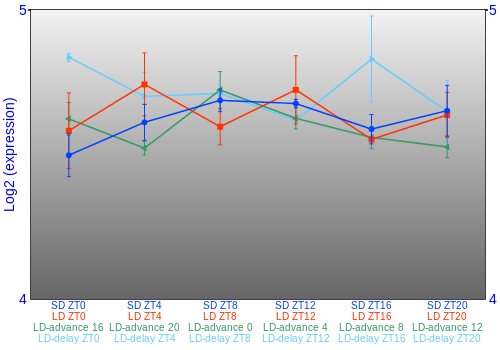Expression graph