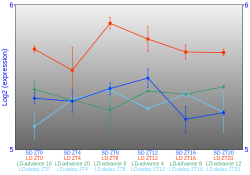 Expression graph