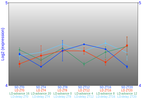 Expression graph