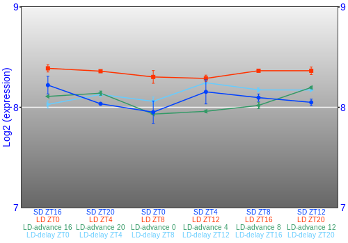 Expression graph