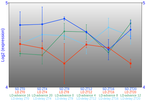 Expression graph