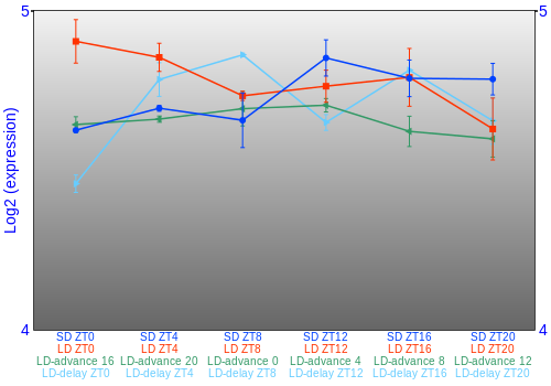 Expression graph
