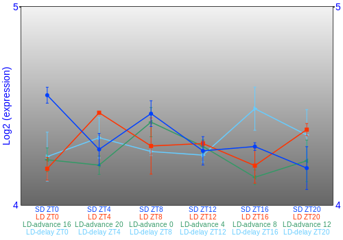 Expression graph