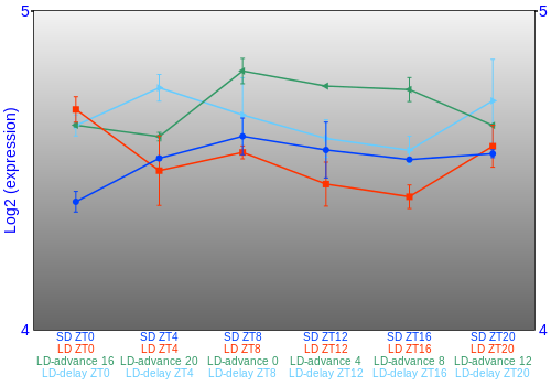 Expression graph