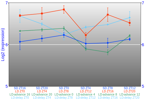 Expression graph