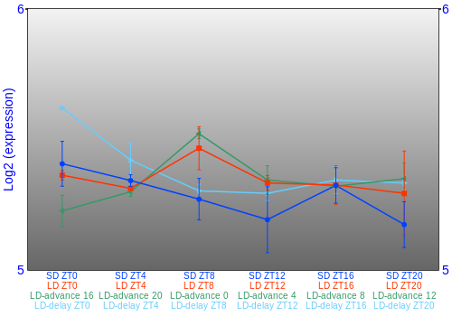 Expression graph